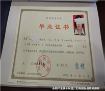 公司高管偽造學(xué)歷證書被開除，上訴求補(bǔ)償金未獲法院支持
