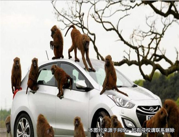老人開(kāi)車時(shí)陌生男子攀爬，加速行駛致其墜亡后被判刑
