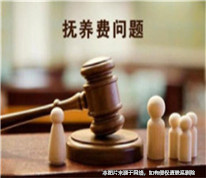 父母離婚多年，兒子起訴未支付撫養(yǎng)費的母親